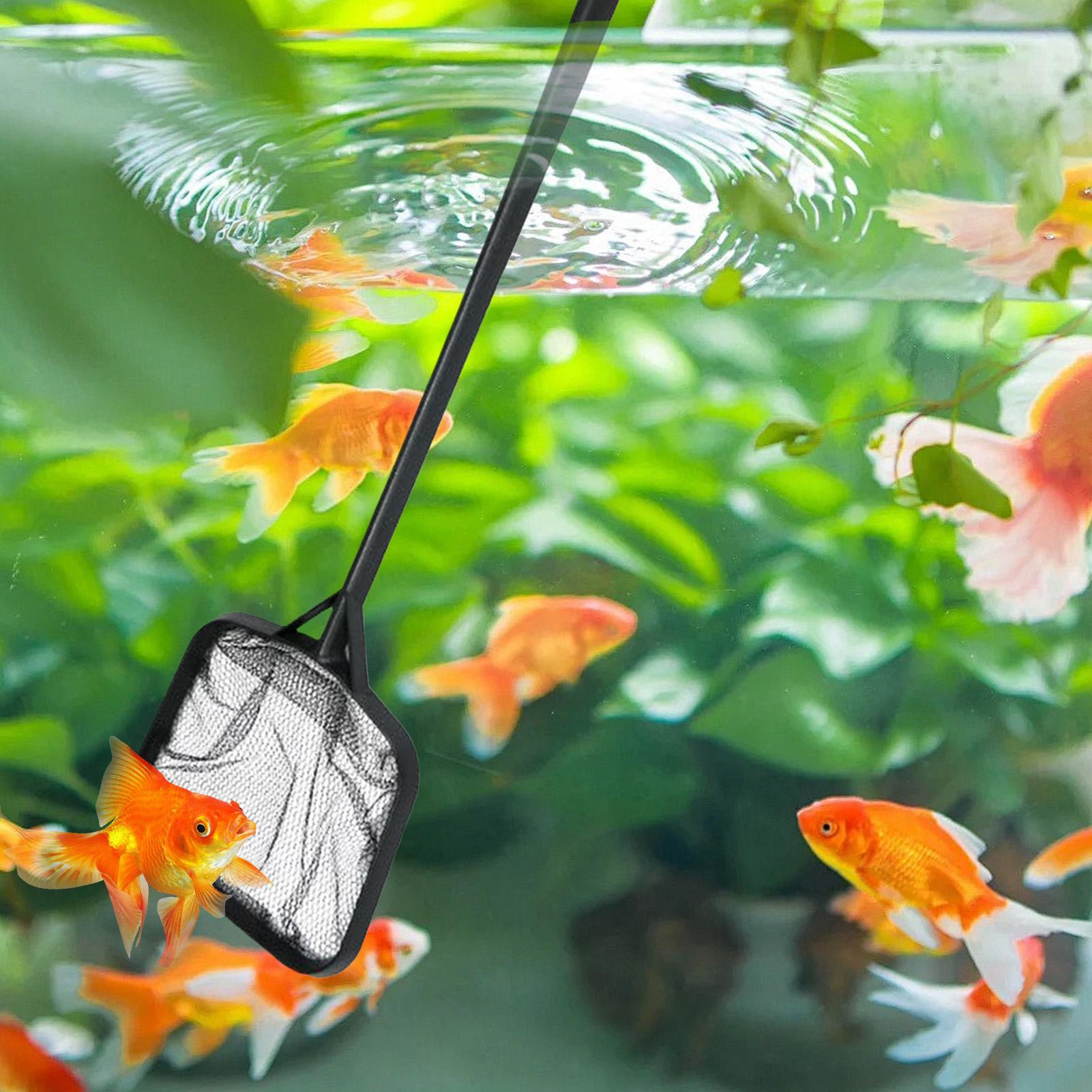 휴대용 수영장 청소용 그물망, 분수 청소용품, 수족관/ - Marine Aquarium 리뷰 및 가격