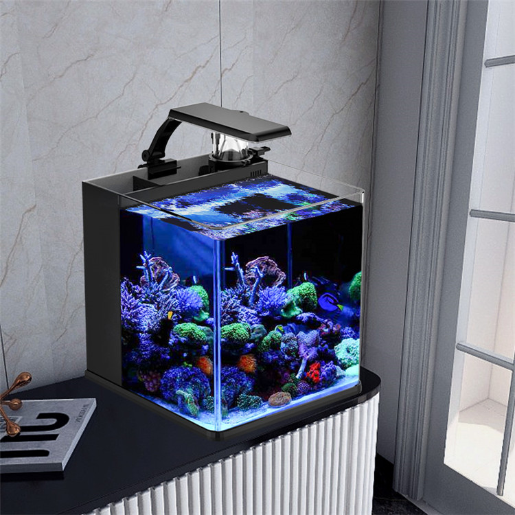 스카이누오 울트라 클리어 글래스 미니 해수어항 미디어  - Marine Aquarium Cube 리뷰 및 가격