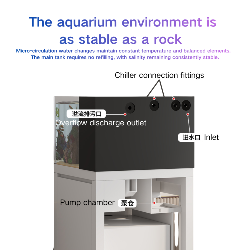 스마트 어항 자동 물교환 60cm 큐브형 유리 수족관  - Marine Aquarium Cube 리뷰 및 가격