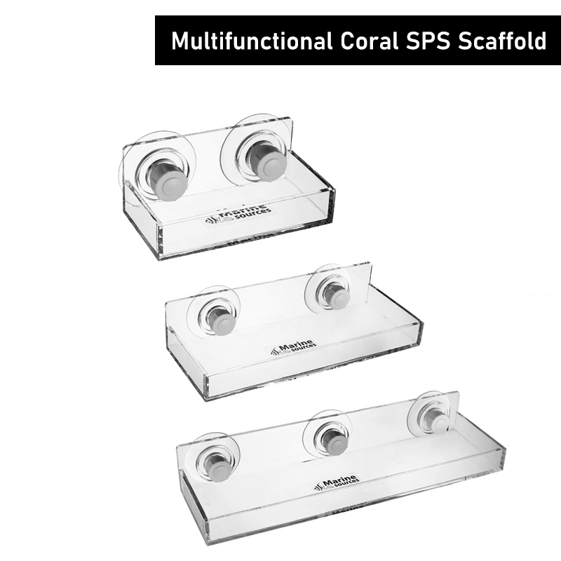 해양 자원 물잔디를 위한 다기능 산호 SPS 비계, 조 - Marine Coral 리뷰 및 가격
